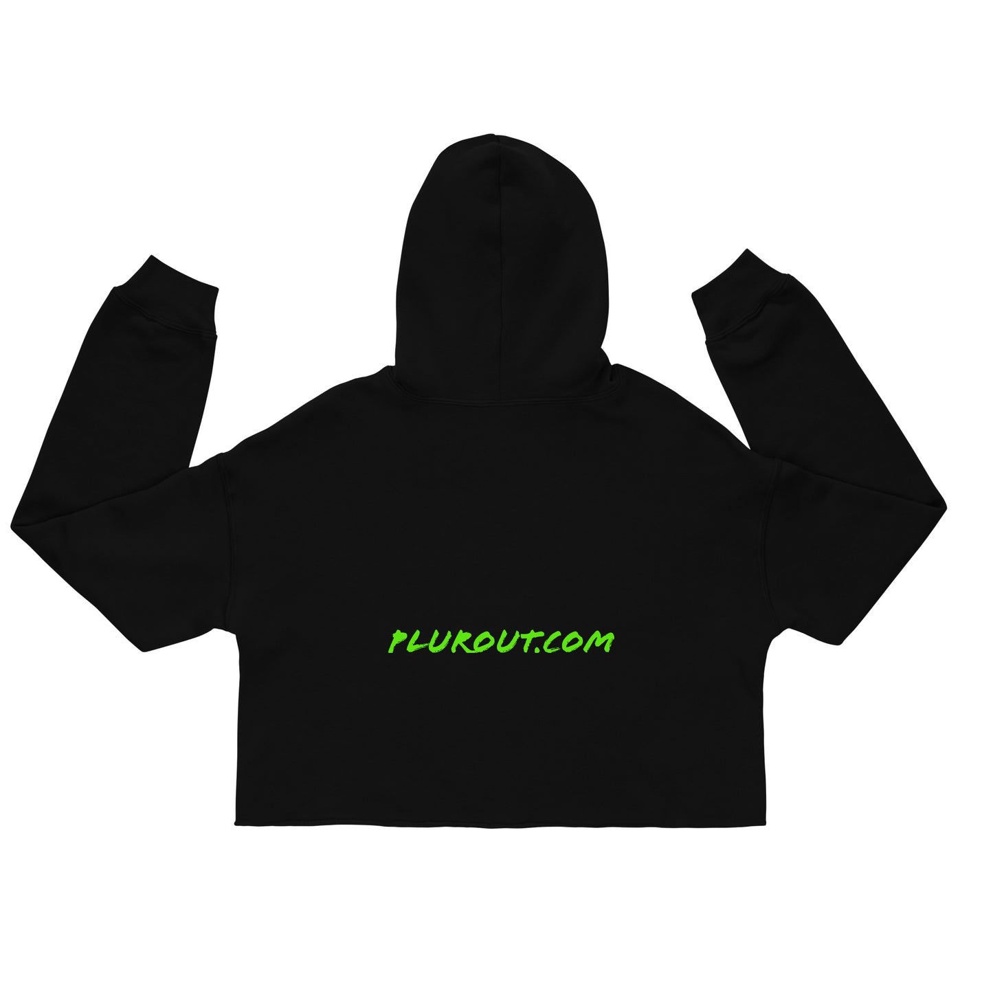 Lab In snow - Crop Hoodie